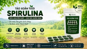 Tảo xoắn tươi - 1 Túi 100g