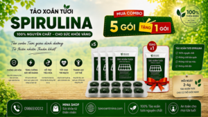 Tảo xoắn tươi - Combo mua 5 tặng 1